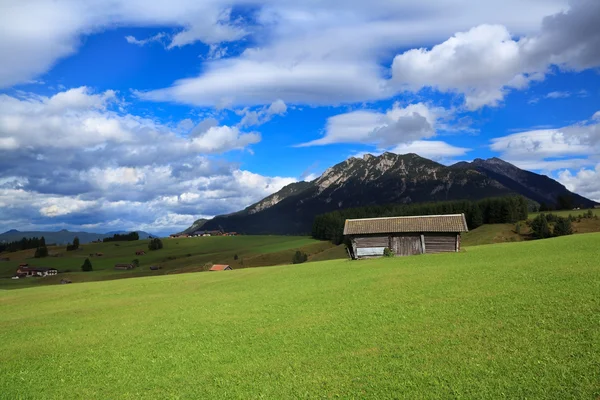 Trähus på gröna ängar i Alperna — Stockfoto