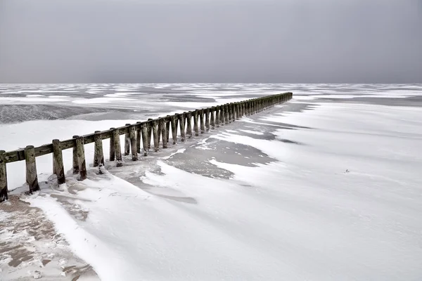 Staré dřevěné vlnolamu na zamrzlé jezero ijsselmeer — Stock fotografie