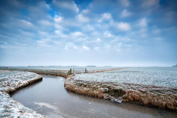 Canal congelado em terras agrícolas de inverno holandesas — Fotografia de Stock