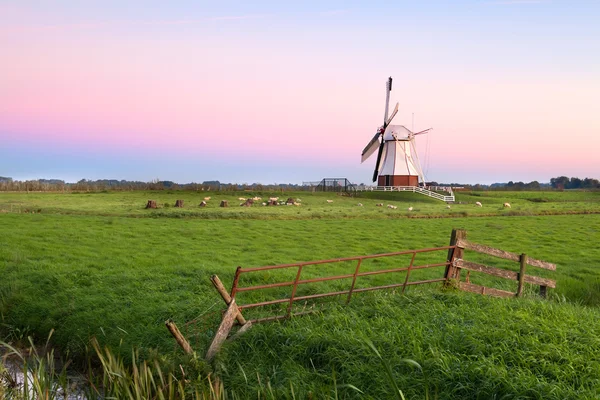 Vit holländsk väderkvarn på sunrise — Stockfoto