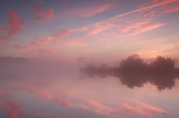 Dramatic foggy sunrise over wild lake — Stock Photo, Image