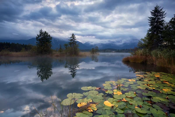 Nilüferler göl barmsee bulutlu sabah üzerinde — Stok fotoğraf