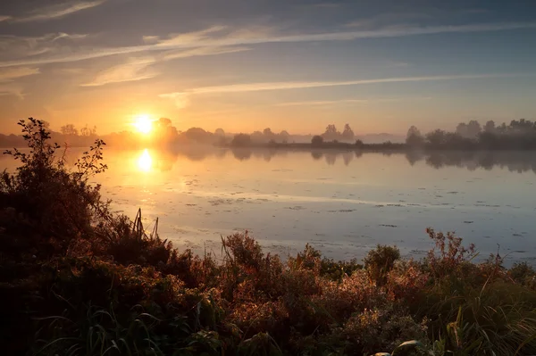 Východ slunce nad jezerem divoké — Stock fotografie