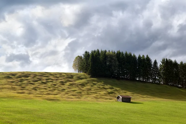 Cabaña de madera solitaria en prados alpinos —  Fotos de Stock