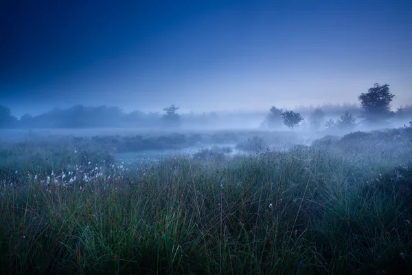 Nublado amanecer atardecer sobre pantano —  Fotos de Stock