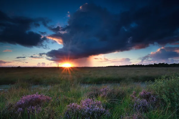 Dramatic storm and sunset over swamp — Stock Photo, Image