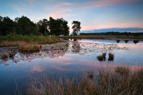 Solnedgång över vilda sjö — Stockfoto