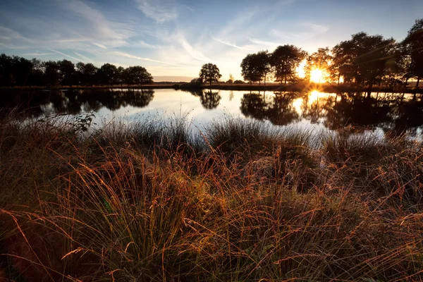 Raios de sol estrela sobre lago selvagem ao pôr do sol — Fotografia de Stock