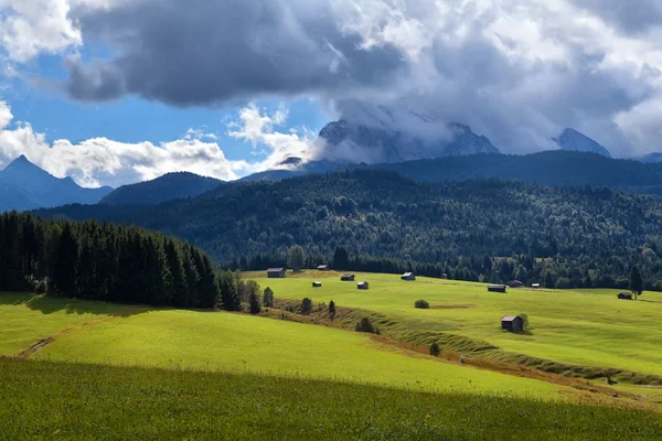 Güneşli kırsal meadows Alpleri'nde — Stok fotoğraf