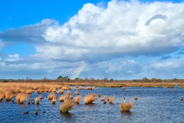 Regnbåge över träsket och blå himlen — Stockfoto