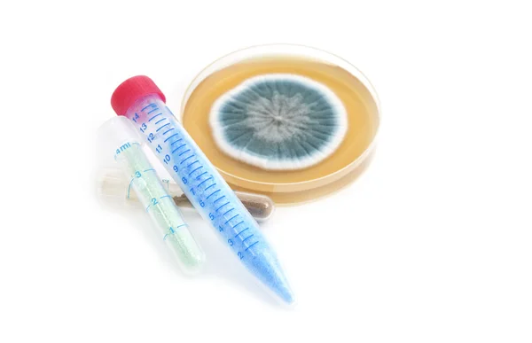 Chemicals in laboratory tubes and fungi — Stock Photo, Image