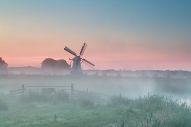 Yaz sabah sisin içinde Hollanda Yeldeğirmeni