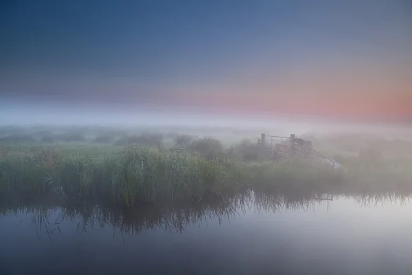 Tranquil foggy morning in Dutch farmland — Stock Photo, Image