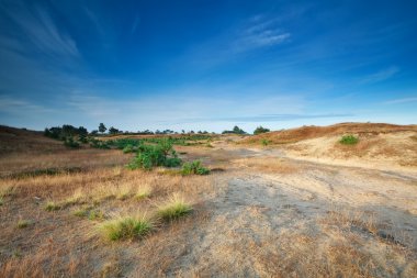 morning sunlight over sand dunes clipart