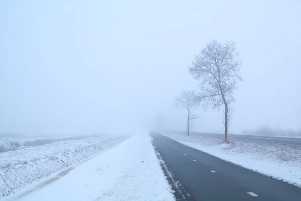 Ciemny droga i mroźny drzewo w zimie mglisty dzień — Zdjęcie stockowe