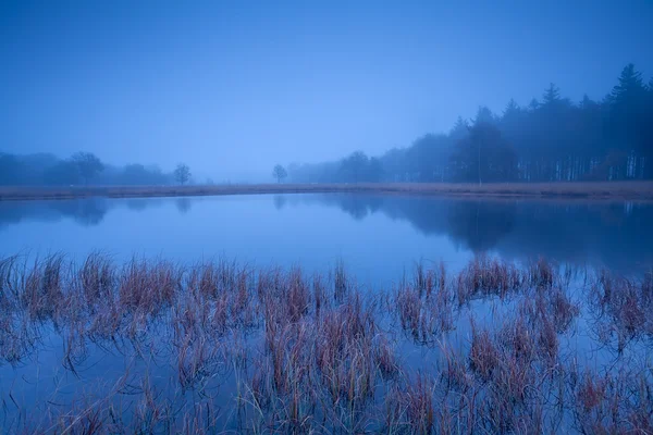 Lac sauvage au crépuscule brumeux — Photo