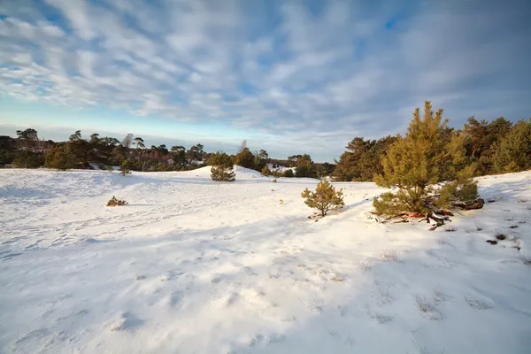 Blå himmel över snö kullar och ängar — Stockfoto