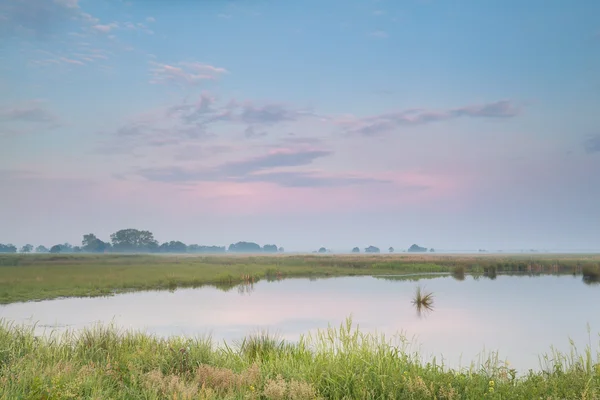 Pastell sommaren soluppgång över floden — Stockfoto