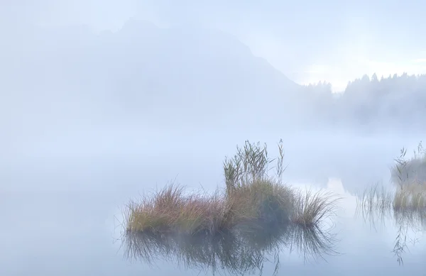 Brouillard matinal dense sur le lac alpin Barmsee — Photo