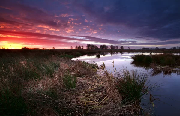 Dramático amanecer sobre el pantano — Foto de Stock