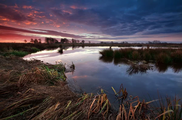 Dramático amanecer sobre el pantano en Holanda — Foto de Stock