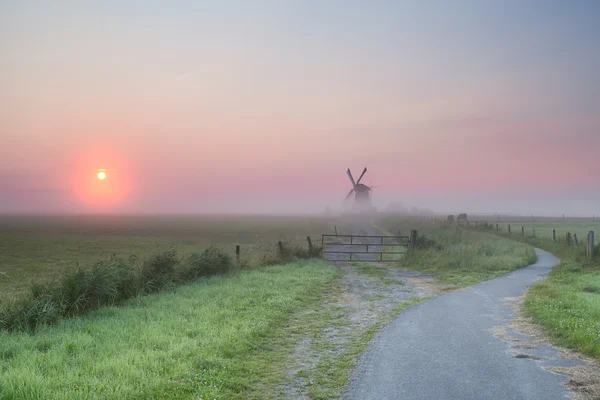 Nebliger Sommersonnenaufgang über holländischem Ackerland — Stockfoto