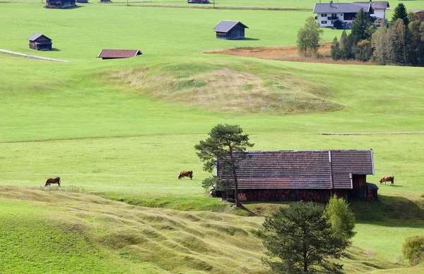 Bavorské zemědělské půdy v Německu — Stock fotografie