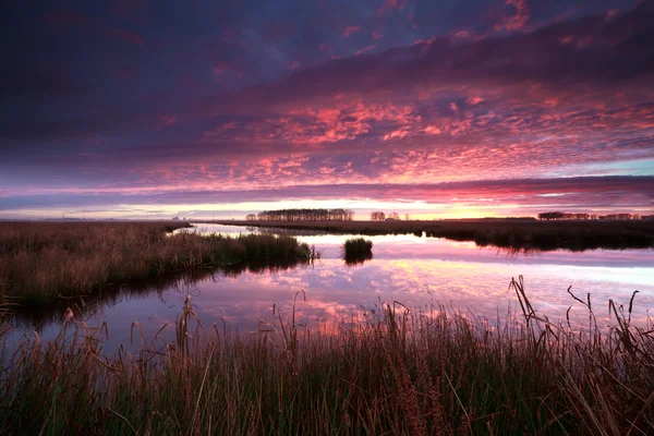 Драматический восход солнца над рекой — стоковое фото