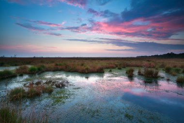 Bataklık gökyüzü günbatımı