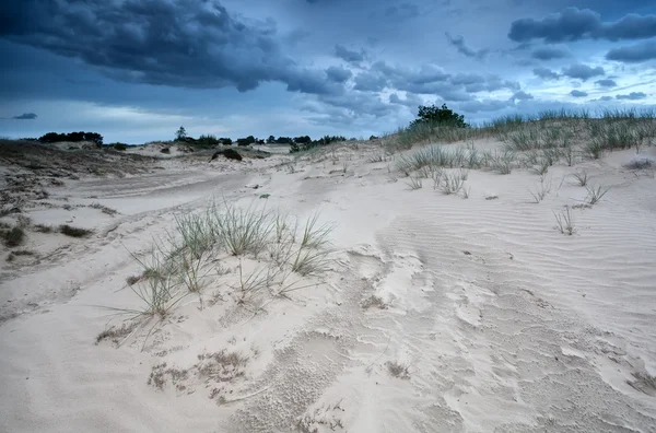 Nuages sur les dunes de sable aux Pays-Bas — Photo