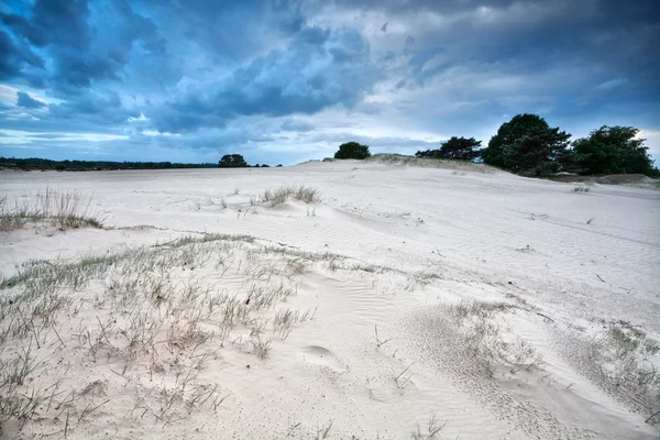 Текстура ветра на песчаных дюнах — стоковое фото