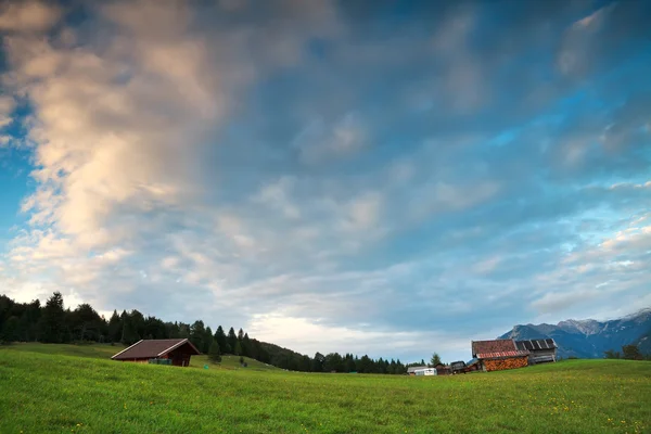 Alpine meadows before sunset — Stock Photo, Image