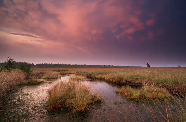 Mammatus moln över träsket i solnedgången — Stockfoto