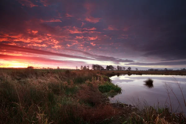 Dramatic sunrise over swamp — Stock Photo, Image