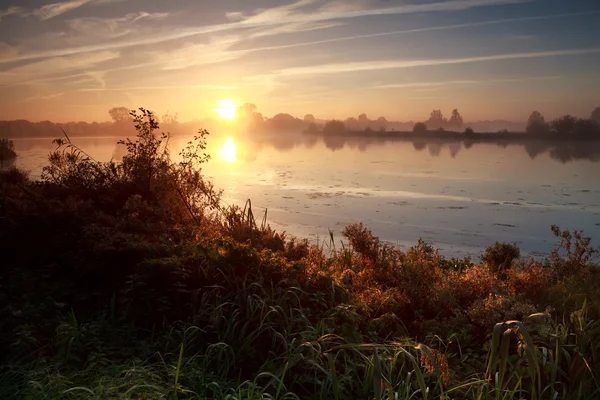 Soluppgång över vilda sjö — Stockfoto