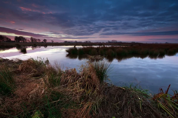 Hermoso amanecer sobre pantano — Foto de Stock