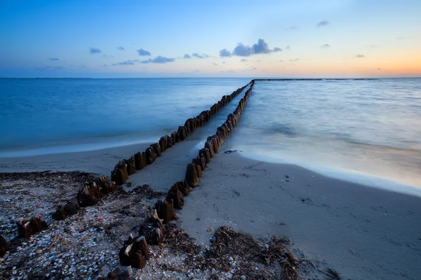 Longo quebra-mar de madeira no mar do Norte — Fotografia de Stock