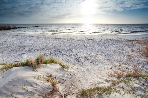 Soleil sur la plage de sable et la mer du Nord — Photo