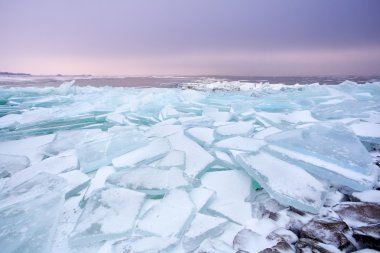 adet raf buz dondurulmuş IJsselmeer Gölü