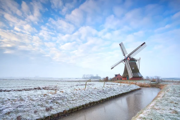 Nizozemský větrný mlýn v zimě — Stock fotografie