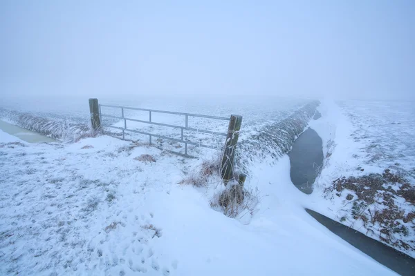 Neblig frostiger Morgen auf holländischem Ackerland — Stockfoto