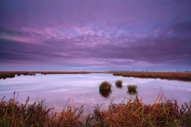 Sunrise: drenthe bataklıkta üzerinde