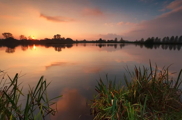 Alba d'oro sul lago — Foto Stock