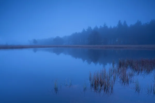 Туманный закат на озере — стоковое фото