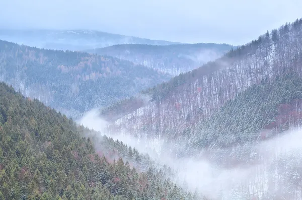 Nevoeiro no inverno Harz montanhas — Fotografia de Stock