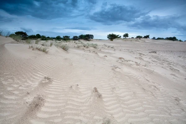 Textura del viento en dunas de arena — Foto de Stock