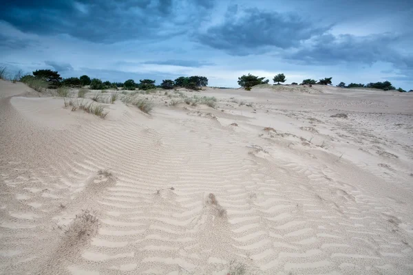 Windstruktur auf Sanddünen — Stockfoto