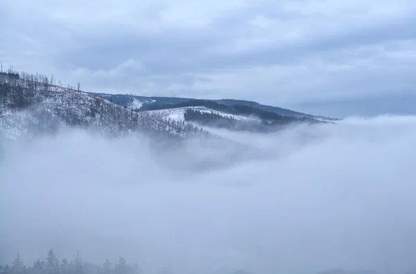 Harz montanhas no denso nevoeiro de inverno — Fotografia de Stock
