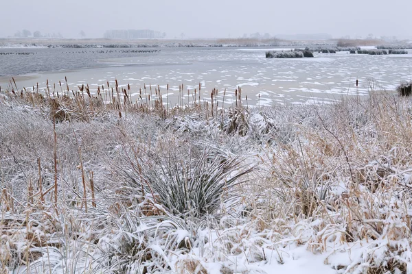 Frozen lake in winter — Stock Photo, Image