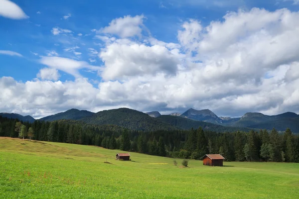 Prados verdes alpinos y cielo azul — Foto de Stock